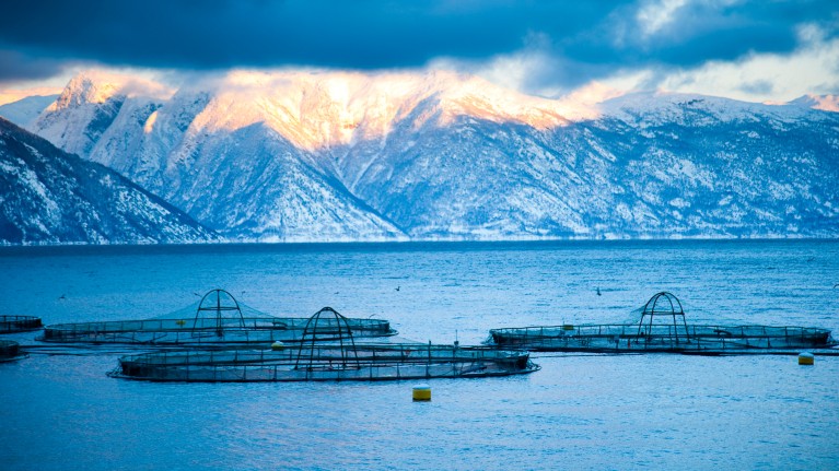 Fish farms, such as this one in Norway, could expand drastically to meet future demand for seafood.