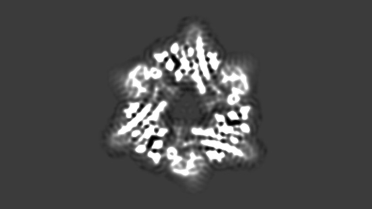 Cryo-EM reconstructed map of a protein complex
