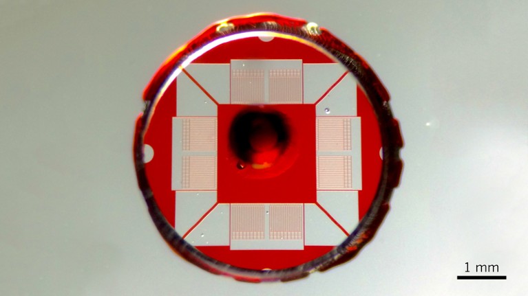 A microfluidic device