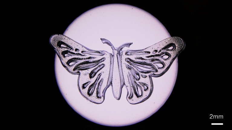 Microscopic image of 3D printed butterfly shape