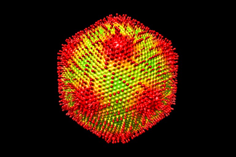 3D reconstruction of the Medusavirus particle