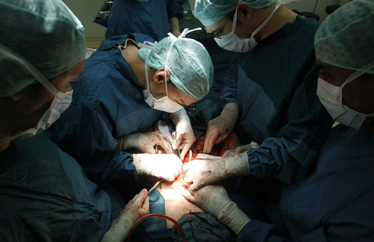 Surgeons extract the liver and kidneys of a brain-dead woman.