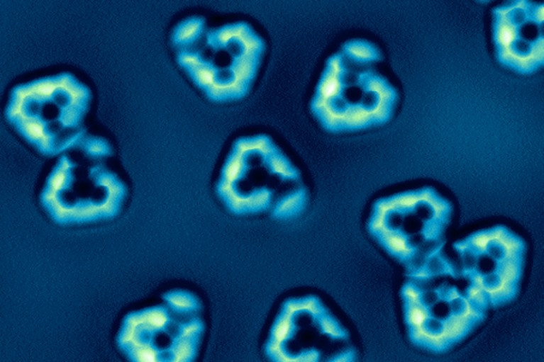 False-colour AFM scan of single and self-assembled 2-iodotriphenylene molecules