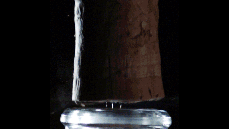 Mach disk during champagne cork popping at 20°C.
