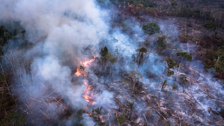Amazon forest area is burnt in rural Novo Progresso.