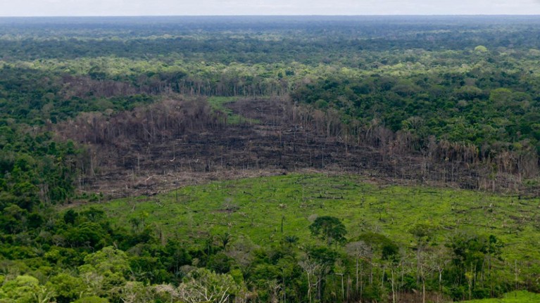 A wooded area with deforestation is seen in the Serrania del Chiribiquete, Colombia.