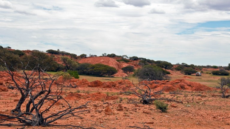 Barlangi Hill, site of the Yarrabubba impact in Western Australia.