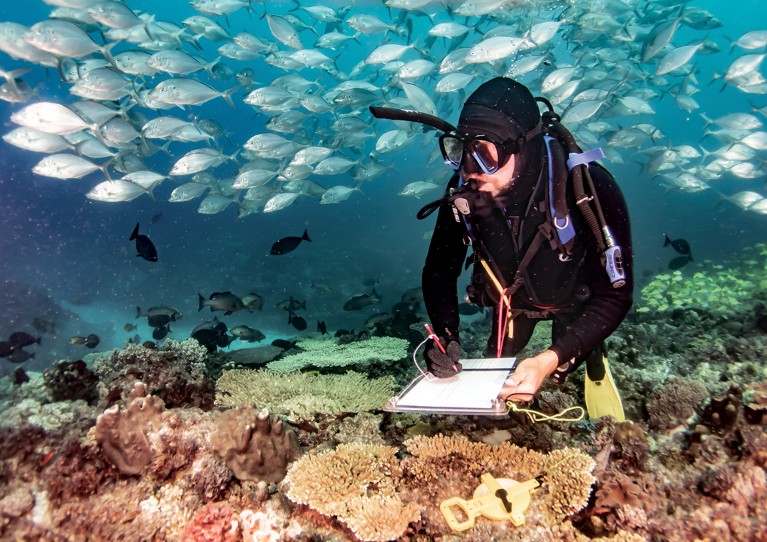 Graham Edgar in SCUBA gear is taking notes near the sea floor above coral and surrounded by fish