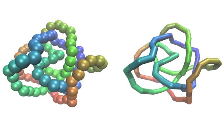 Two visual representations of the same circular polymer conformation in simulation.