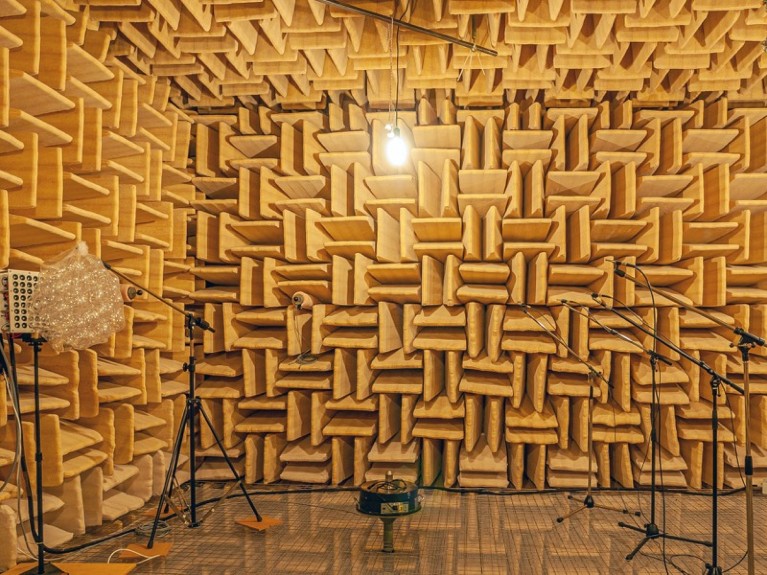 Photograph of the imaging experiment in the anechoic acoustic chamber at EPFL.