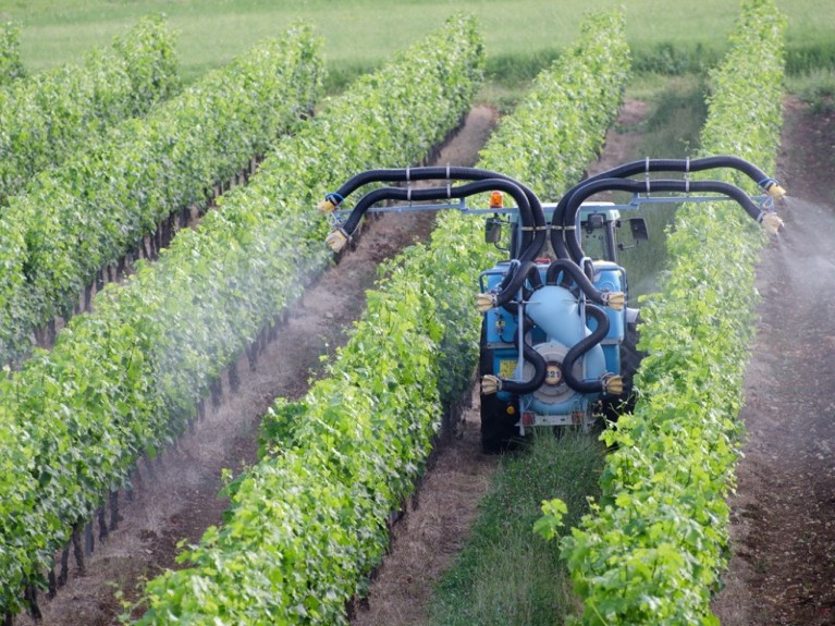 A blue machine travels between rows of plants, spraying them from four hoses.