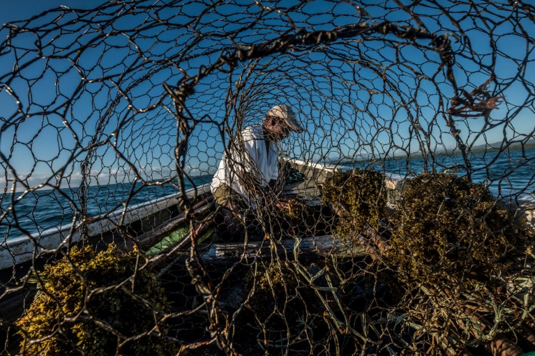 View through holes in netting of a fisherman on a small boat out at sea