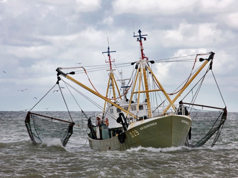 Fishing boat / Trawler on the North Sea dragging fishing nets, Ostend, Belgium.