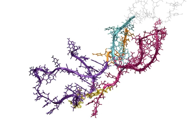 Tangle of coloured, wiggly lines with ring-like molecules sticking out in places.