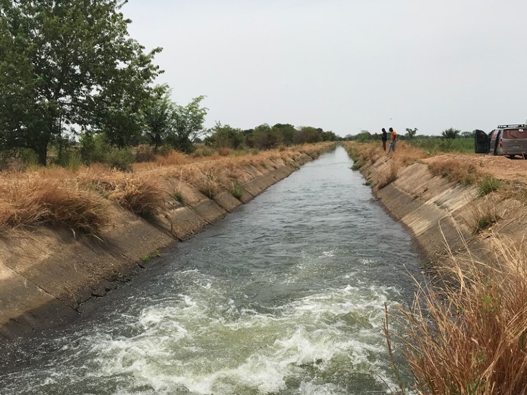 Tono irrigation scheme, Ghana.