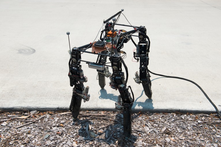 The morphologically adaptive robot used in this study