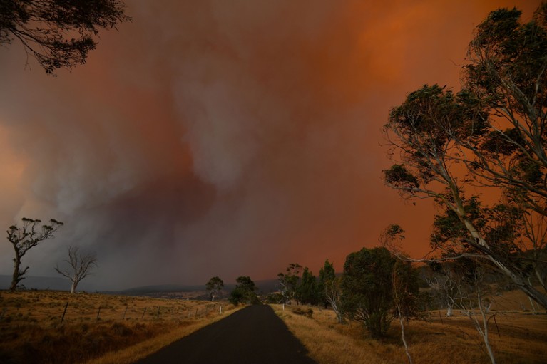 Ember and thick smoke from bushfires reach Braemar Bay in New South Wales
