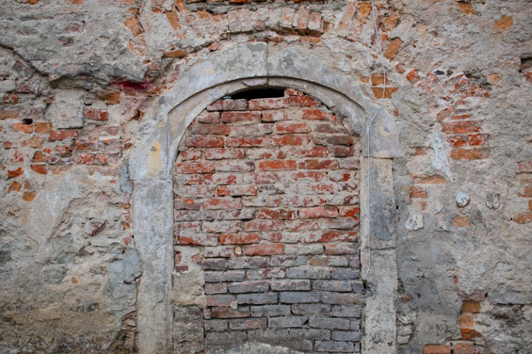 Old brick wall with a bricked-up arch.