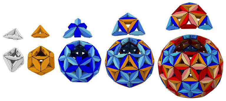 Octahedral and icosahedral shells