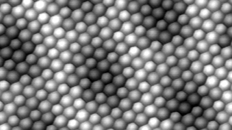 Black and white micrograph of bilayer borophene showing a honeycomb structure.