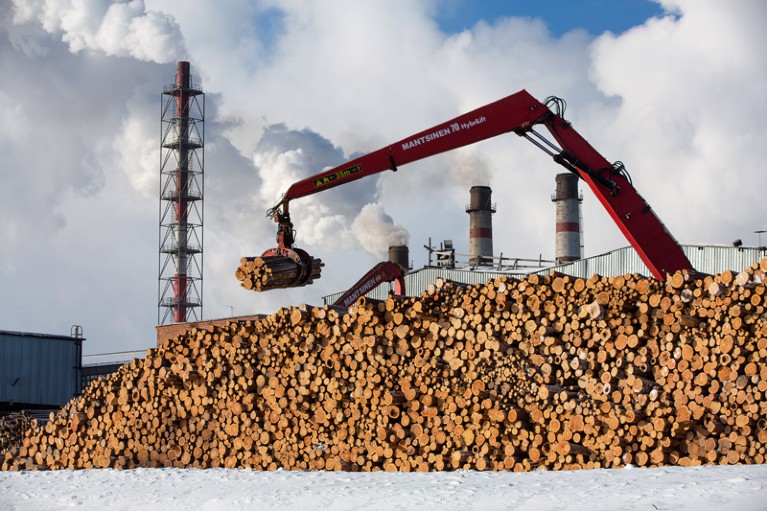 A crane lifts bundles of logs from a huge pile of logs at a paper mill
