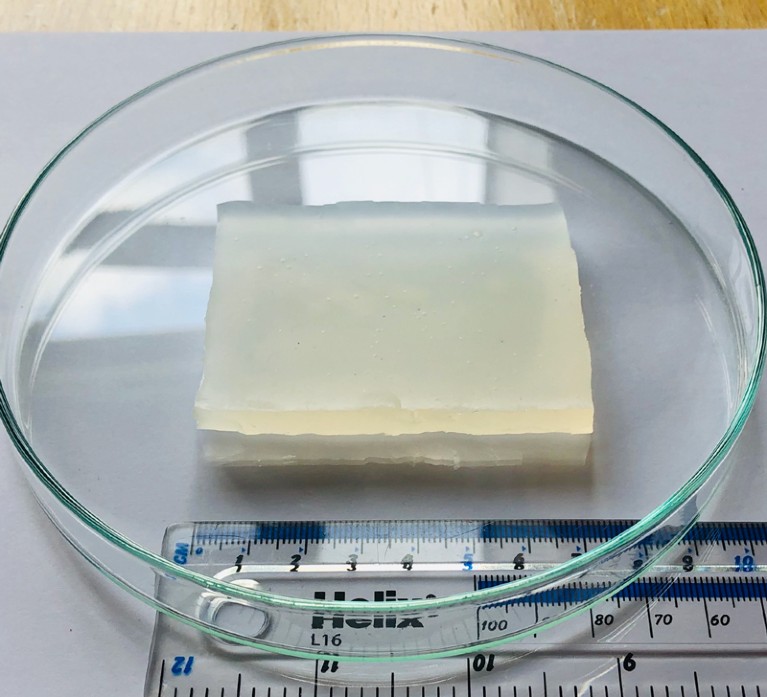 A cuboid specimen in a petri dish with a ruler for scale