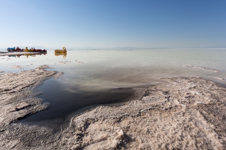 Colourful plastic swans sit on an abandoned beach by Lake Urmia.