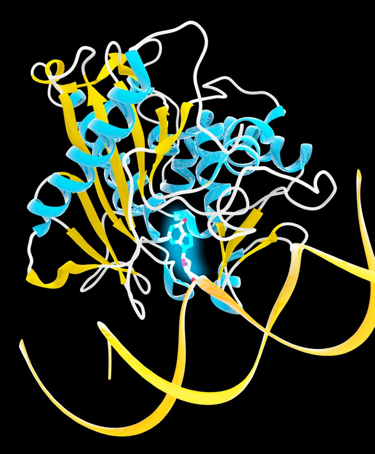 Artwork of an adenine base editor bound to a DNA strand