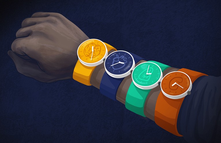 Cartoon of a human arm wearing four separate wrist watches, each of which is a different colour