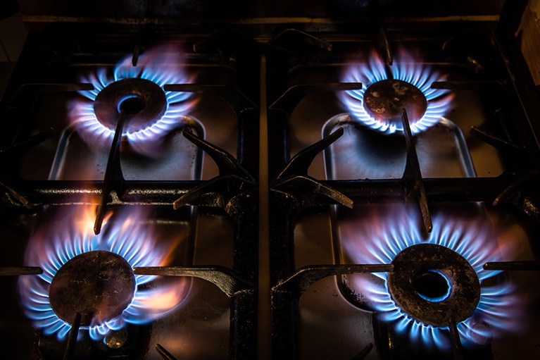 Four blue gas rings burn on a domestic cook stove top, burning natural gas.