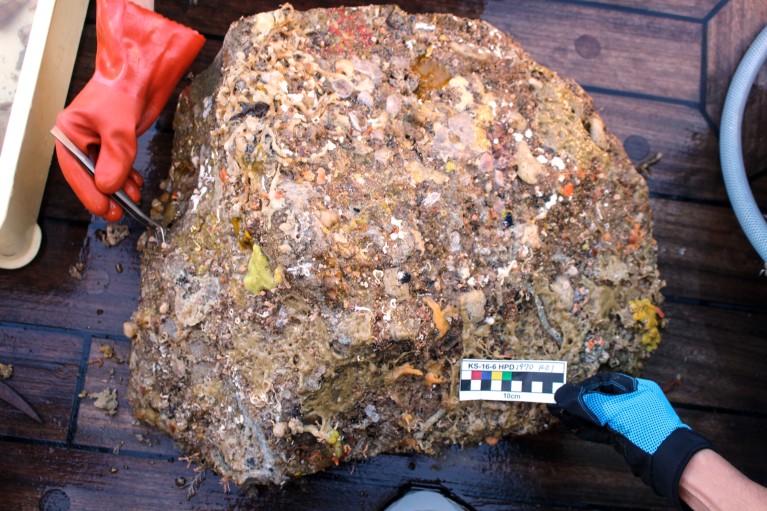 A solid lava block collected from the summit of a newly-discovered underwater volcano Oomurodashi