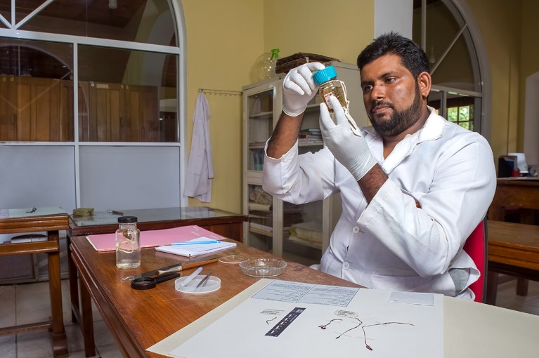 Bhathiya Gopallawa in his lab holding a preserved specimen of a newly discovered orchid in a jar