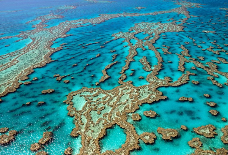 Reefs and atolls, Great Barrier Reef, Queensland, Australia.