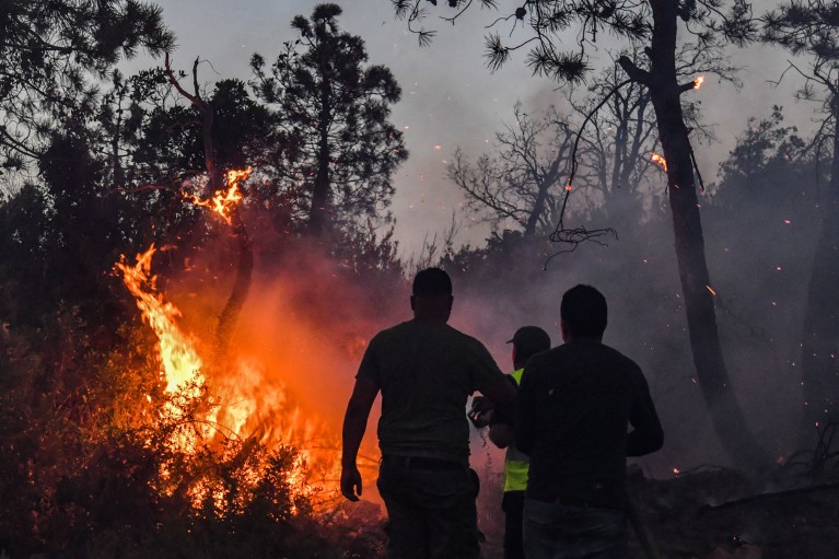 A silhouette of firefighters attempting to extinguish a raging forest fire
