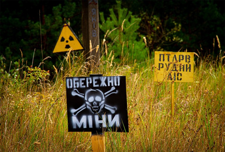 Roadside signs in the long grass showing "danger mine", "radiation danger" and "red forest"