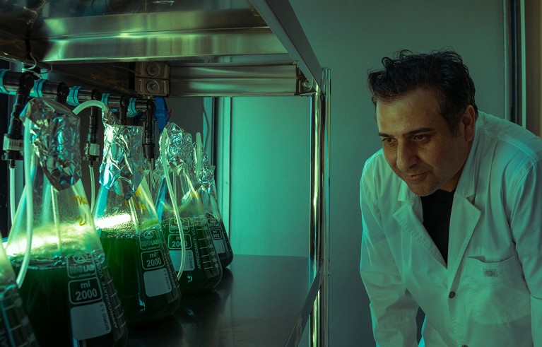 Gabriel Renato Castro stands in a lab looking at some flasks filled with green liquid