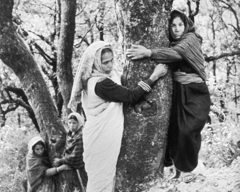 An old black and white photograph of four women hugging trees