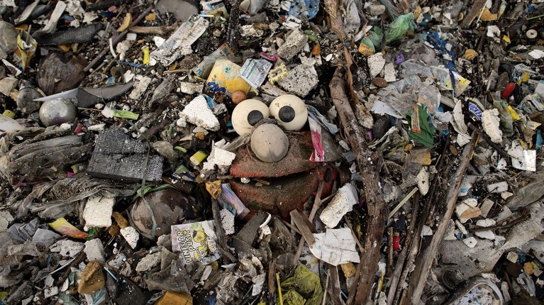 A stuffed toy of the Sesame Street character "Elmo" surrounded by plastic waste on a beach on the Freedom island critical habitat and ecotourism area near Manila.