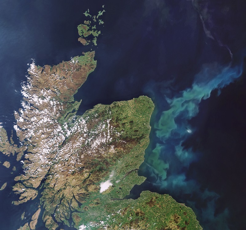 Satellite image of a phytoplankton bloom in the North Sea off the east coast of Scotland