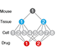 Nested experimental design