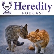 Podcast cover: two cats