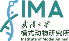 Institute of Model Animal (IMA), Wuhan University