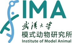 Institute of Model Animal (IMA), Wuhan University