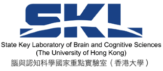 The State Key Laboratory of Brain and Cognitive Sciences, The University of Hong Kong
