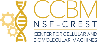 Center for Cellular and Biomolecular Machines