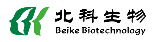 www.beike.cc