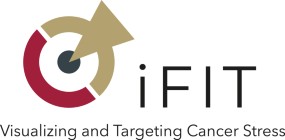 iFIT - Cluster of Excellence