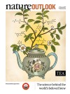 research on health benefits of tea