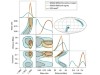 Depiction of gravitational waves