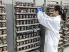 中國在 Nature Index 化學研究領域的影響力已達全球近半